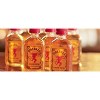 Fireball Cinnamon Whisky - 750ml Plastic Bottle - image 2 of 2