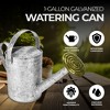 Jameson 1 Gallon Galvanized Watering Can with Handle, Sprinkler Mouth, and Long Elevated Spout for Patio, Lawn, and Garden Use, Gray - 2 of 4