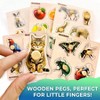 Wooden Puzzles for - 6 Pegged Animal Fruit Learning Toy Fo - 3 of 4