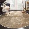 Vintage VTG128 Power Loomed Indoor Skid-Resistant Rugs - Safavieh - 2 of 3