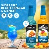 Syruvia Sugar Free Coffee Flavors Variety Pack: Blue Curacao & Mango 25.4 fl oz Syrup - 2 of 4