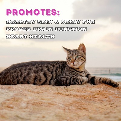 Boat To Bowl Fish, Salmon and Wild Seafood Flavor Recipe Dry Cat Food - 3.5lbs, 6 of 14