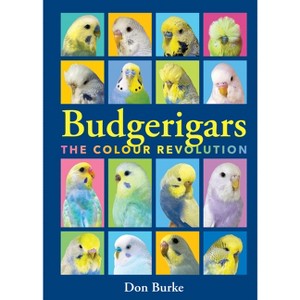 Budgerigars - by  Don Burke (Paperback) - 1 of 1