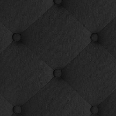 Elegant Queen-Sized Black Fabric Upholstered Bed with Nailhead Trim