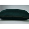 Velvet Flange Throw Pillow - Pillow Perfect - 2 of 2
