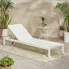 PAGED Patio Chaise Lounge Modern Aluminum Frame Recliner with Mesh Adjustable Lounge Chair for Garden, Poolside - 2 of 4