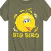 Boys' - Sesame Street - Big Bird Face Short Sleeve Graphic T-Shirt - 2 of 4