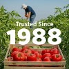 Hunt's 100% Natural Tomato Sauce, 15 oz Can, 4 Count - 3 of 4