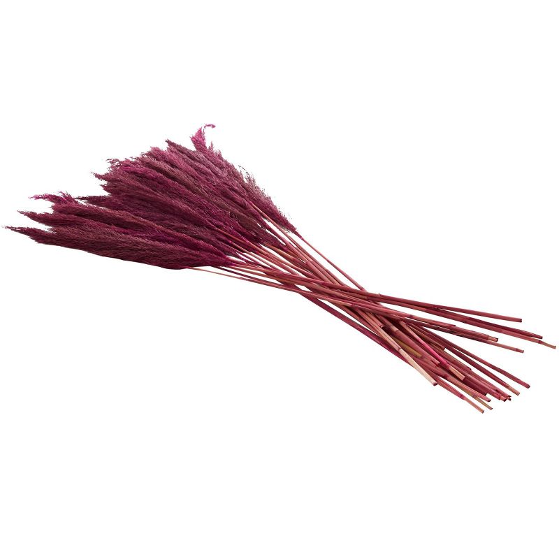 35 In. x 2 In. Dried Plant Pampas Natural Foliage with Long Stems Pink - Olivia &#38; May, 5 of 8