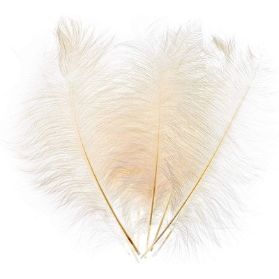 Bright Creations 12 Pack White Ostrich Feather Plumes 12 14 Inches for Crafts, Home, Wedding & Party Decorations
