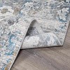 Hauteloom Meggett Luxury Fringed Faux Silk Rug - 4 of 4