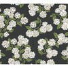 Rifle Paper Co. Hydrangea Black/White Peel and Stick Wallpaper - 2 of 4