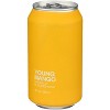 United Sodas of America Young Mango Soda - Case of 12 - 12 fl oz - 2 of 2