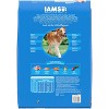 IAMS Healthy Weight Control Grain with Chicken Flavor Dry Dog Food - 2 of 4