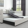 Daybed with Trundle Velvet Upholstered Tufted Sofa Bed, with Button and Copper Nail onSquare Arms - 3 of 4