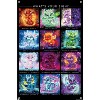Trends International Sheena Pike - The Zodiacs Lil Dragonz Unframed Wall Poster Prints - 4 of 4