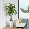 DR.Planzen UV Resistant Artificial 6-7FT Tall Pre Potted Dracaena Tree with White/Brown Tall Square Planter for Indoor Outdoor House Home Decor - 3 of 4