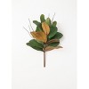 Sullivans Artificial Magnolia Leaf Bush 24.5"H Green - 2 of 2