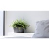 Ecopots Sofia Durable Modern Oval Indoor/Outdoor Recycled-Based Composite Flower Pot Planter w/ Water Reservoir - 3 of 4