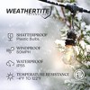 Brightech 7-Bulb LED Ambience Pro 1W 24ft 2700K S14 Indoor Outdoor Plug-in Hanging String Lights Clear Bulb Black Wire - 3 of 4