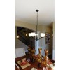 Maxim Lighting Stefan 5 - Light Chandelier in  Oil Rubbed Bronze - 4 of 4