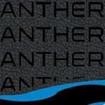 carolina panthers