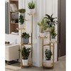 3-Tier Metal Plant Stand - Indoor/Outdoor Corner Shelf for Multiple Plants, Patio Garden Living Room Balcony - 2 of 4