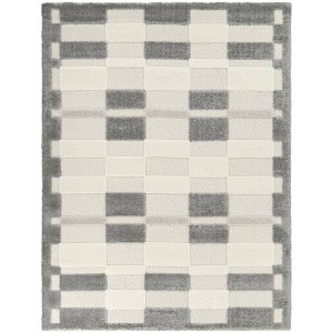 Balta Rugs Bernadette Checkered Carved Pattern Area Rug Gray - 1 of 4