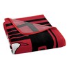 NBA Chicago Bulls Microfiber Plush Throw Blanket - 3 of 4