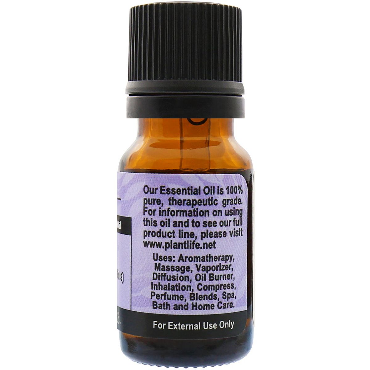 Plantlife Rosemary Essential Oil – 100% Pure & Therapeutic Grade – Natural, Undiluted & Steam-Distilled – No Additives or Fillers – Aromatherapy - thumbnail 2