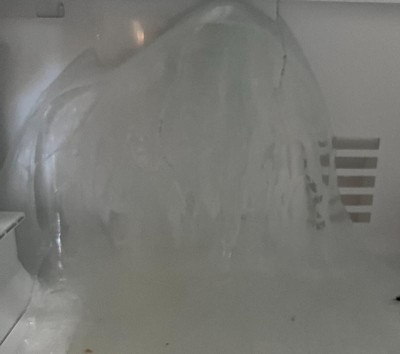 Guest review image 1 of 1, zoom in