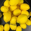 GAOMON Artificial Fake Lemons Realistic Faux Fruits  Props for Home Kitchen Table Decoration Yellow（12pcs） - 2 of 4