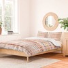 Zanivibes Cotton Duvet & Sham Set - Deny Designs - 2 of 4