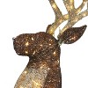 Puleo 72" Pre-Lit Outdoor Elk with 160 Warm White Twinkling LED Lights - 2 of 4