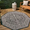 Palazzo Vine and Border Textured Weave Indoor/Outdoor Area Rug  - JONATHAN Y - 4 of 4