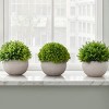 GlasFlength Artificial Plants Small Fake Plants Artificial Grass Plants Faux Plants for Indoor Home Table Decoration, Green, 5"*5"*5" - 2 of 4