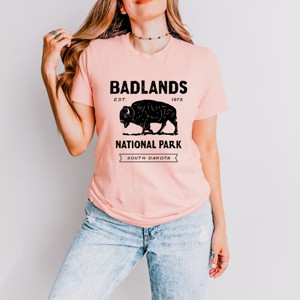 Simply Sage Market Vintage Badlands National Park Short Sleeve Tee - XS - Blush - 1 of 4