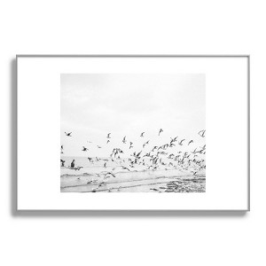 raisazwart Seagulls Coastal 24"x36" Silver Metal Framed Art Print - Deny Designs - 1 of 4