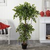 HomeStock  5 ft. Artificial Ficus Tree in Pot for Indoor/Outdoor - 2 of 3