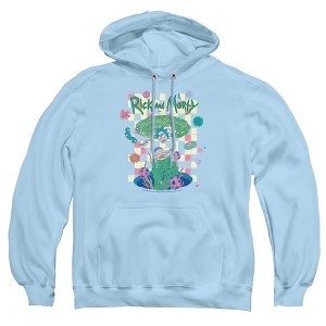 Rick And Morty Falling Portals Adult Pull-Over Hoodie - 1 of 4