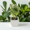 Unique Bargains Artificial Plants Ceramic Pot 2.01"x2.01"x5.51" 1 Pc - 2 of 4