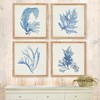 Plum & Post Framed Coral Watercolor Prints Set of 4 - 4 of 4