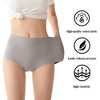 TIME HOLLOW Gray Seamless Panties - 3 of 3