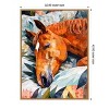 Amanti Art Animal Watercolor Art Horse Sleeping by Justyna Jaszke Framed Canvas Wall Art - 3 of 4