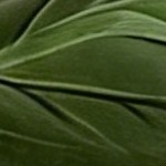 black basin + straw basin