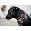 Wolfgang Multicolored Los Muertos Polyester Dog Collar Small - 2 of 3