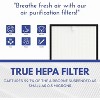 Nispira HEPA Filter Replacement for Rabbit MinusA2 Ultra Quiet Air Purifier SPA-780A, SPA-700A, AP-1004, 2 Packs - 4 of 4