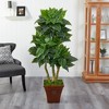 Nearly Natural 57-in Bird Nest Artificial Tree in Brown Planter(Indoor/Outdoor) - 3 of 4