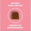 Pet Health Pros Dog Probiotic Chews for Dogs - Support Healthy Digestion Dog Probiotics and Digestive Enzymes for Gut Health - Small/Medium Breed Dogs - 4 of 4