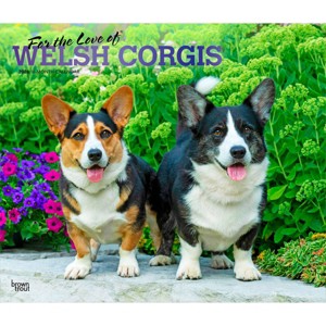 BrownTrout For the Love of Welsh Corgis 2026 14"x24" Hanging Deluxe Wall Calendar Plastic-Free - 1 of 4